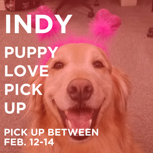 Indy Puppy Love Pick Up