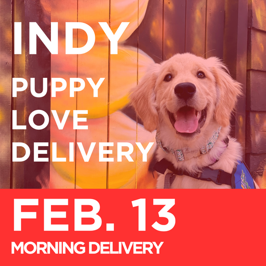 Indy Puppy Love Delivery (Morning Delivery, February 13th)