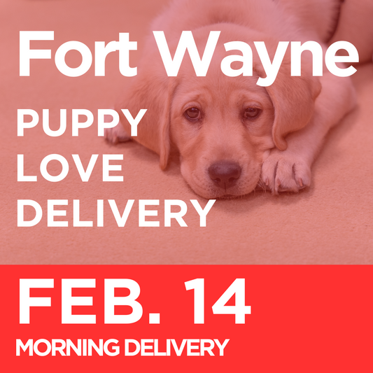 Fort Wayne Puppy Love Delivery (Morning Delivery on February 14th)