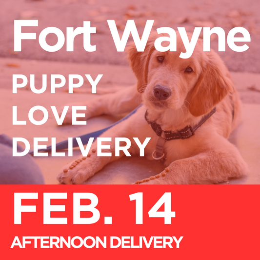 Fort Wayne Puppy Love Delivery (Afternoon Delivery on February 14th)